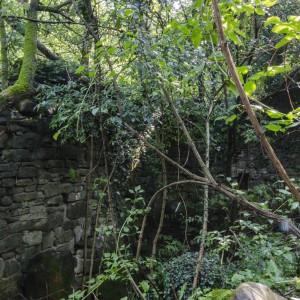 Krajinski park Beka 4